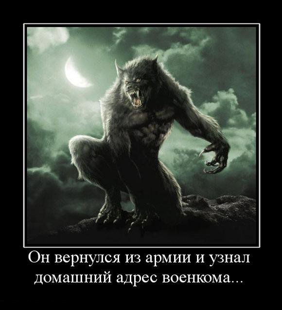 Демотиваторы приколы