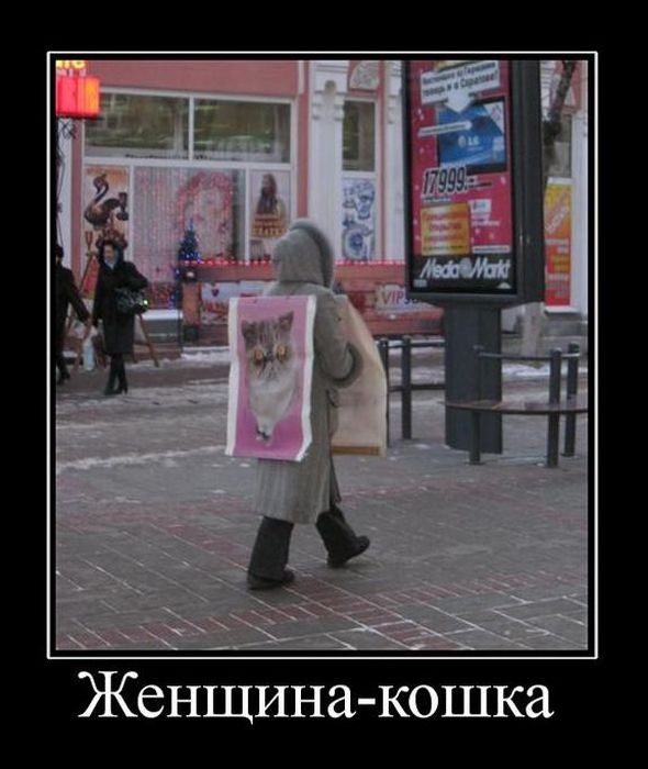 Демотиваторы приколы