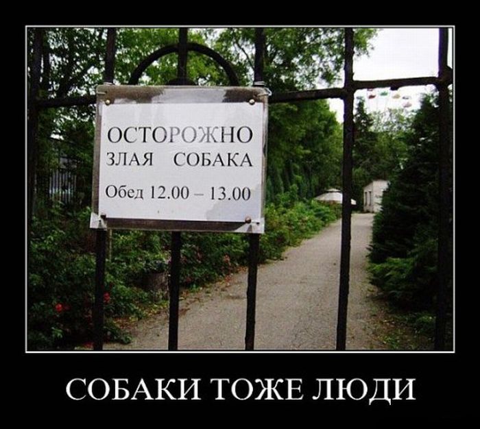 Демотиваторы приколы