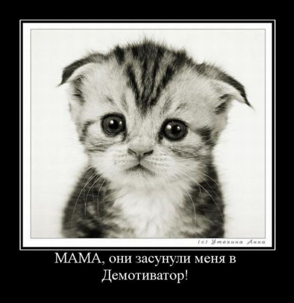 Демотиваторы приколы