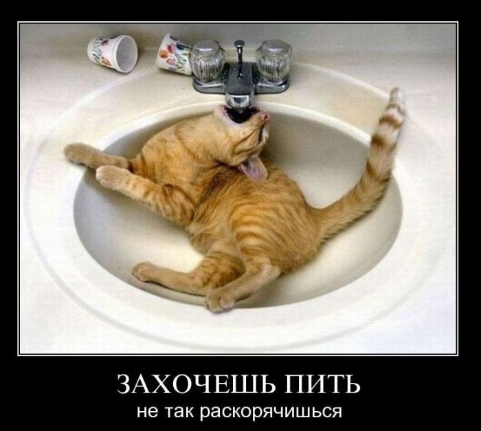 Демотиваторы приколы