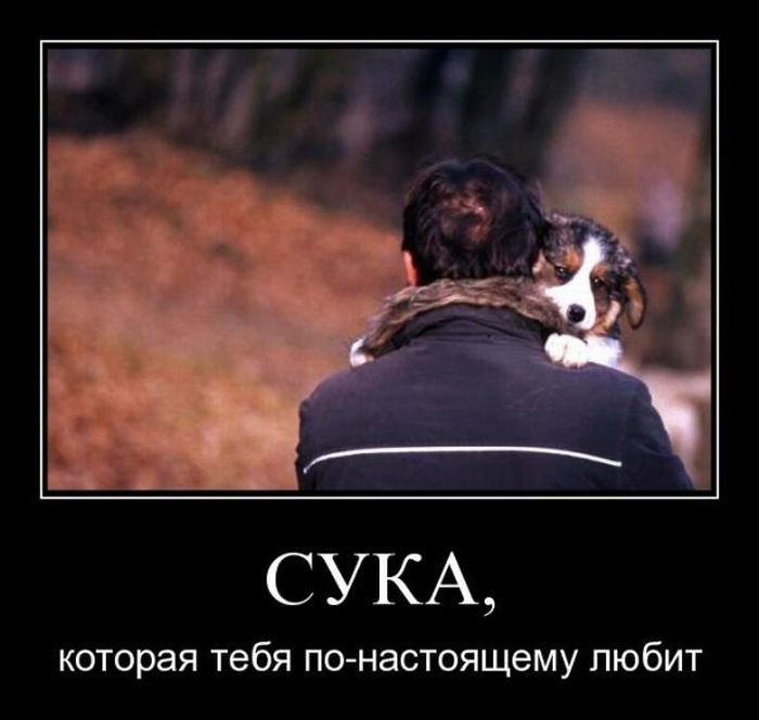 Демотиваторы приколы