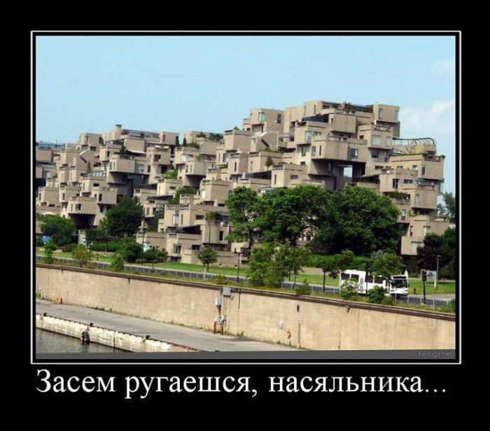 Демотиваторы приколы