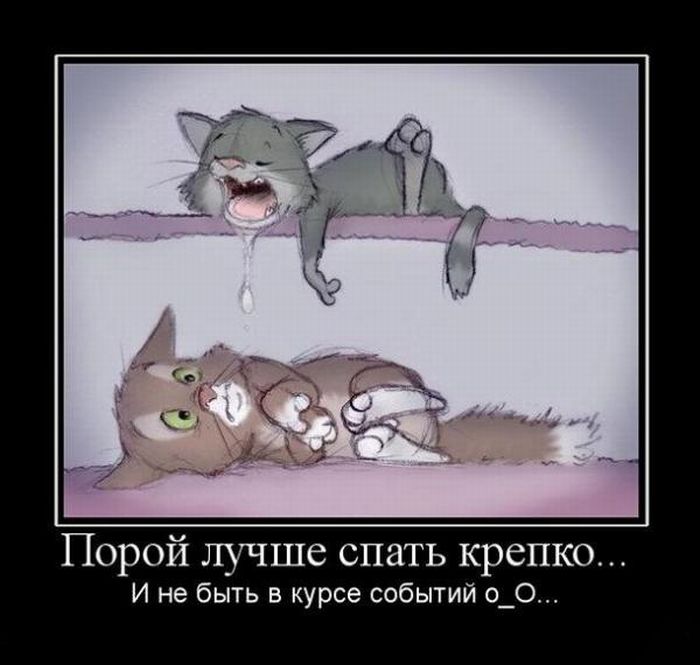 Демотиваторы приколы