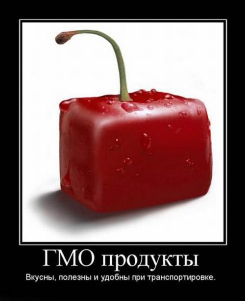 Демотиваторы приколы