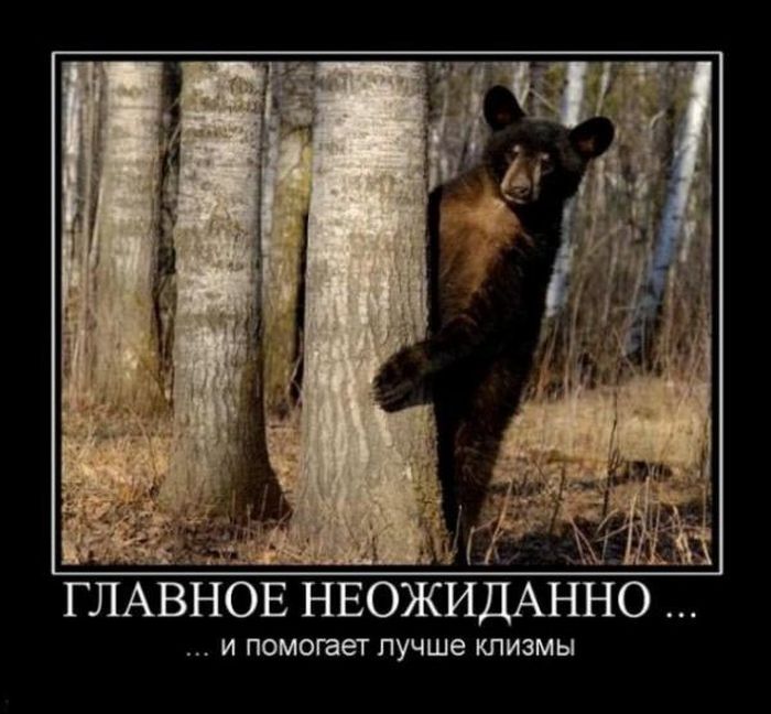 Демотиваторы приколы