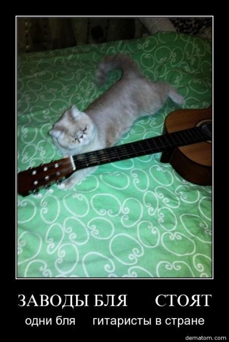Демотиваторы приколы
