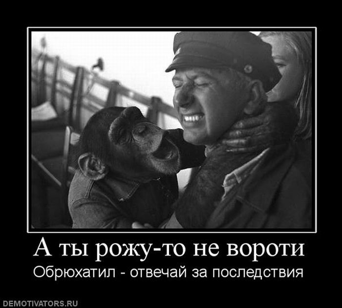 Демотиваторы приколы