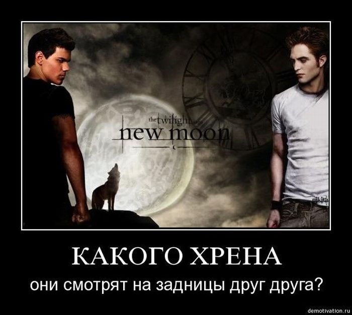Демотиваторы приколы