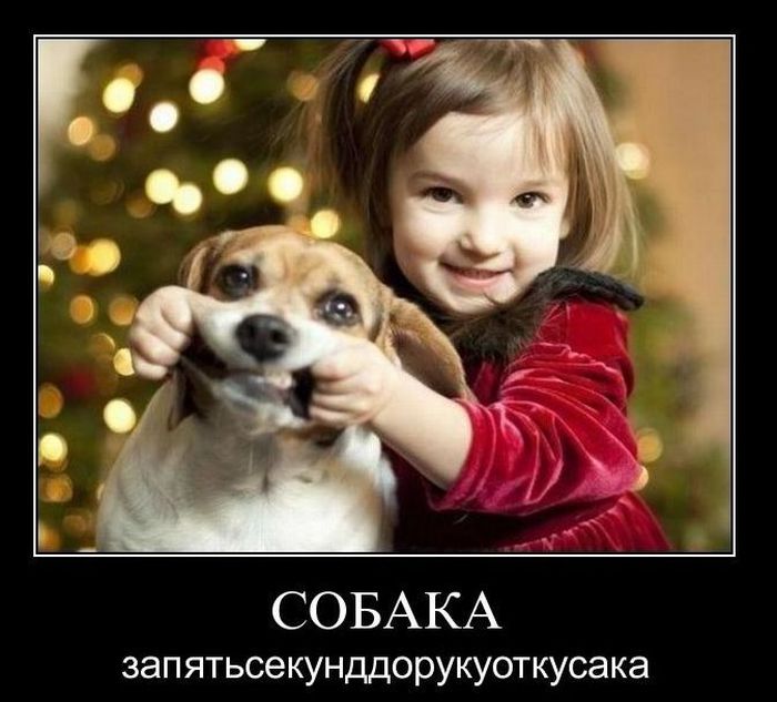 Демотиваторы приколы