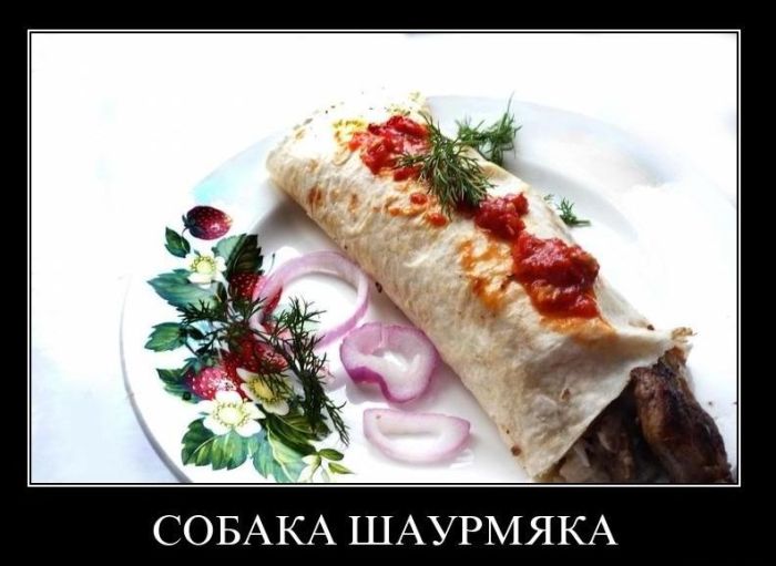 Демотиваторы приколы