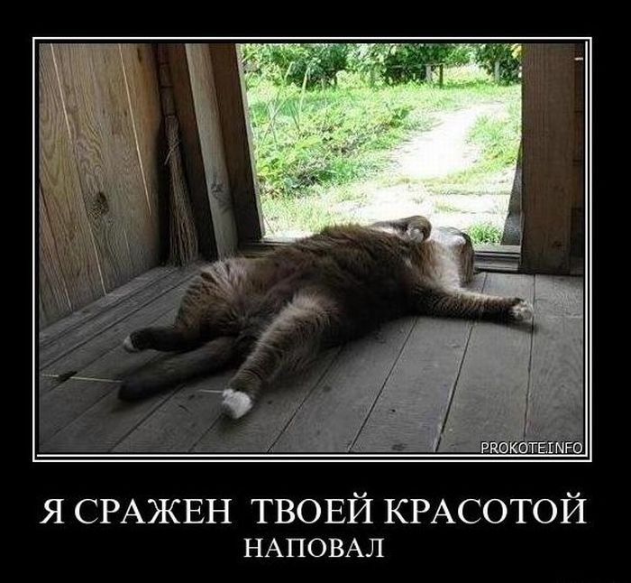 Демотиваторы приколы