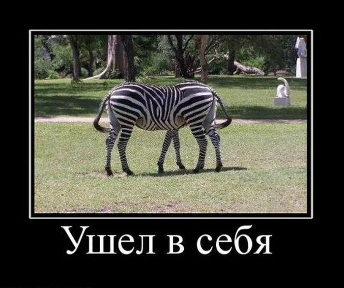 Демотиваторы приколы