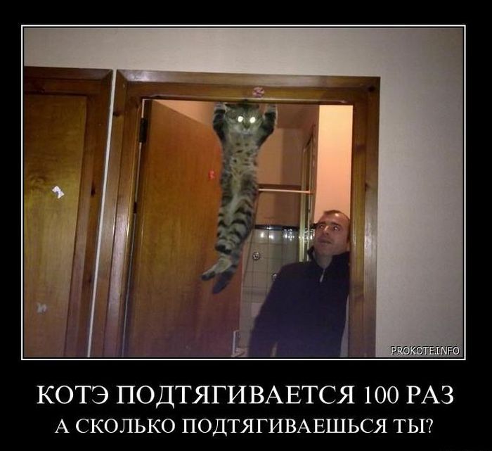 Демотиваторы приколы