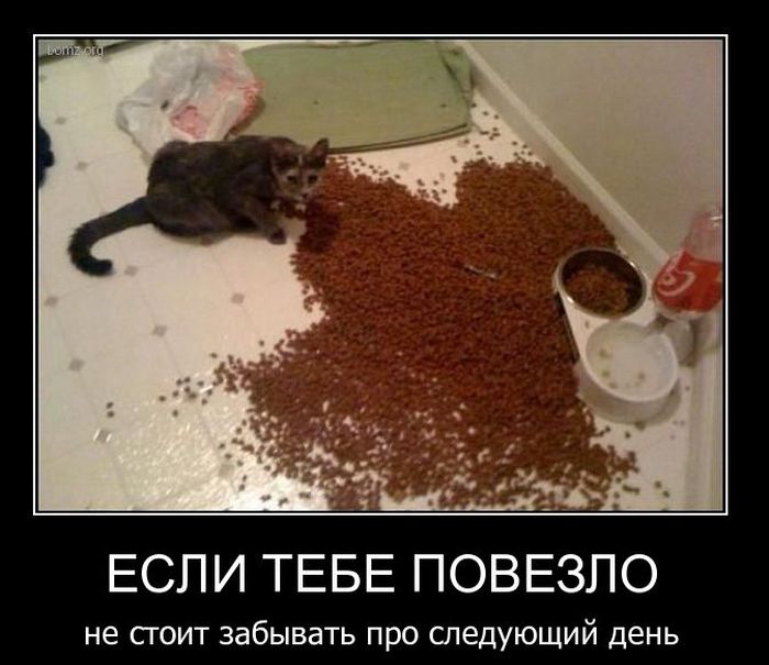 Демотиваторы приколы