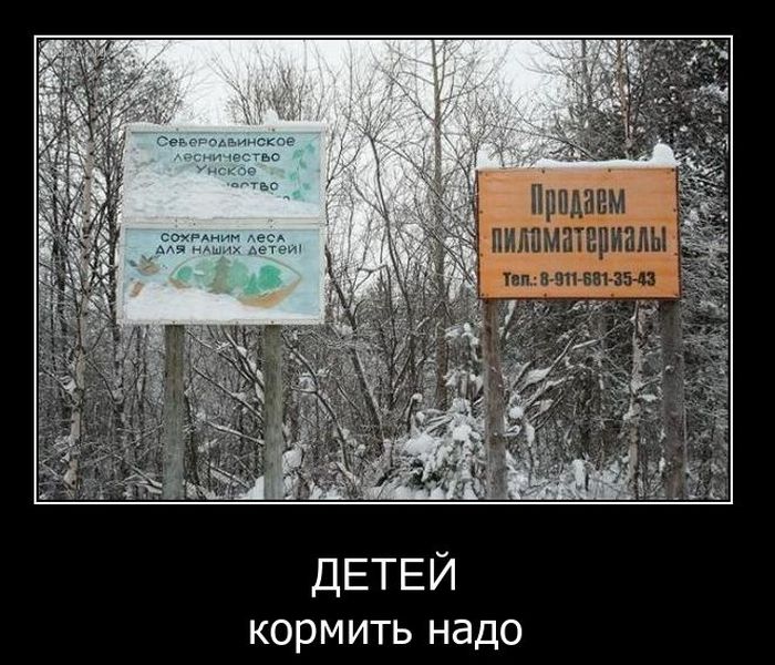 Демотиваторы приколы