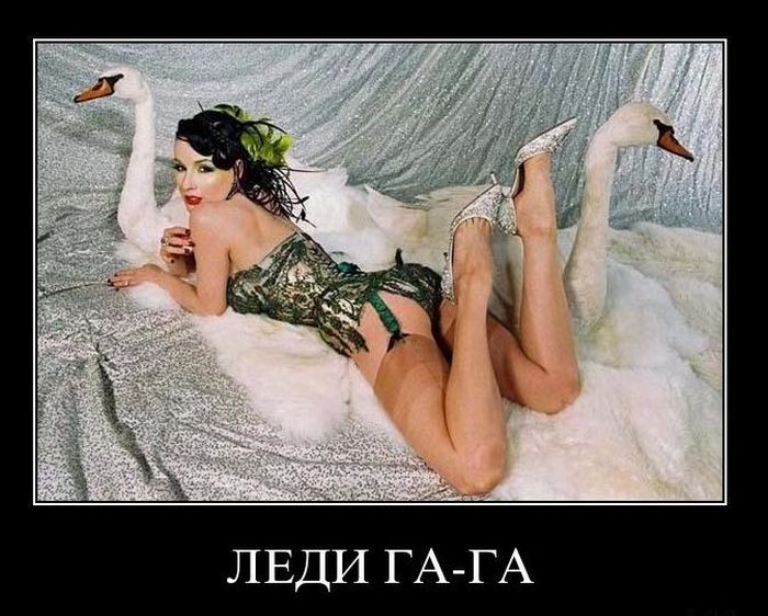 Демотиваторы приколы