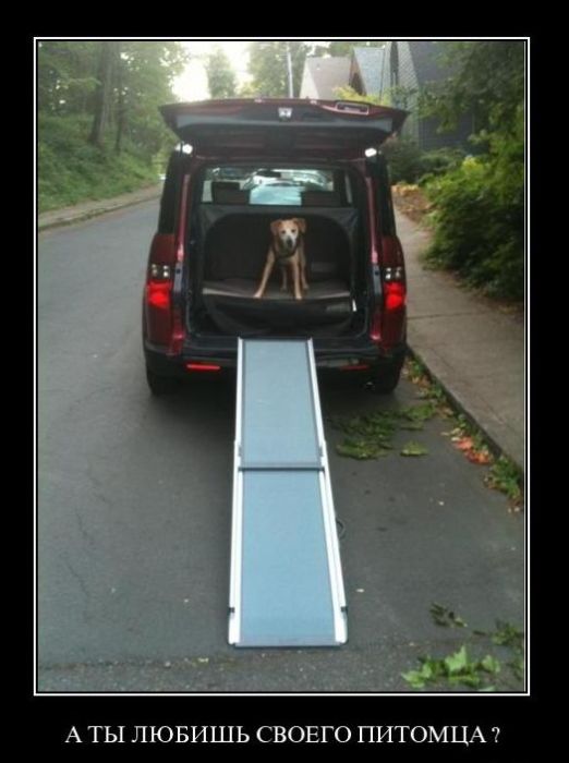 Демотиваторы приколы