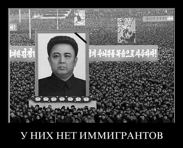 Демотиваторы приколы