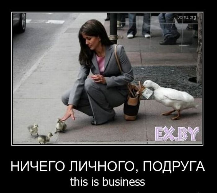 Демотиваторы приколы