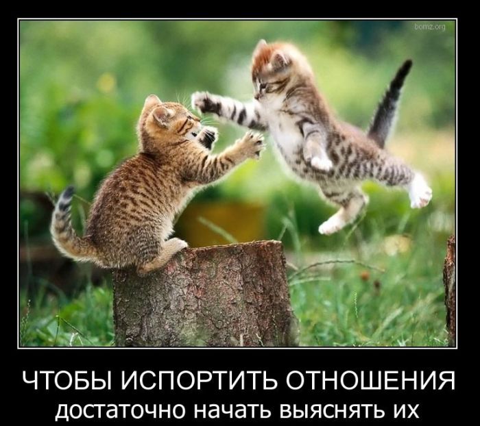 Демотиваторы приколы