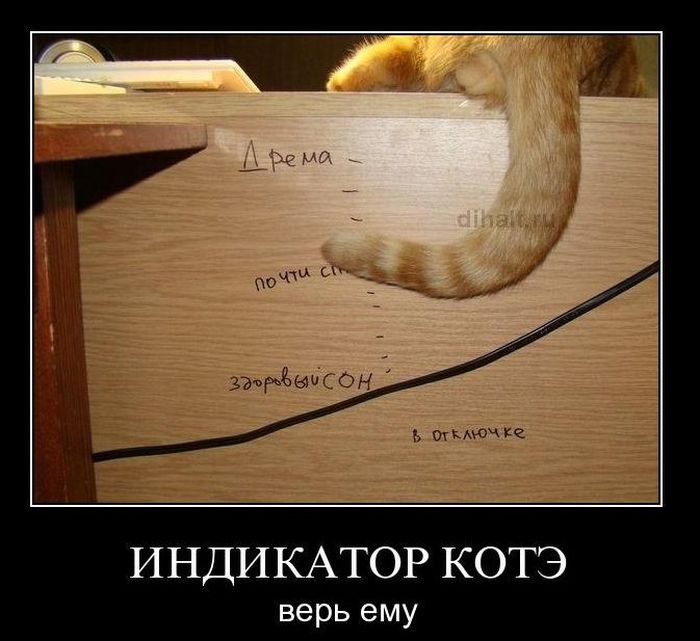 Демотиваторы приколы