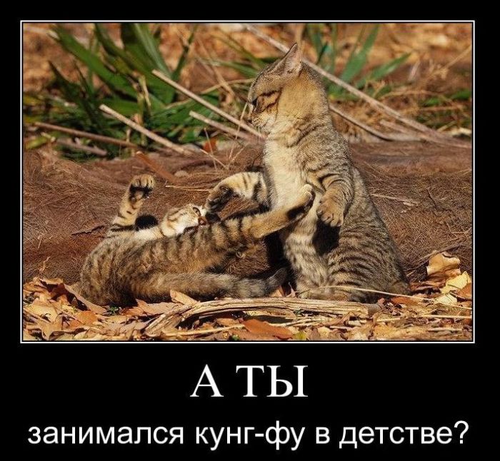 Демотиваторы приколы