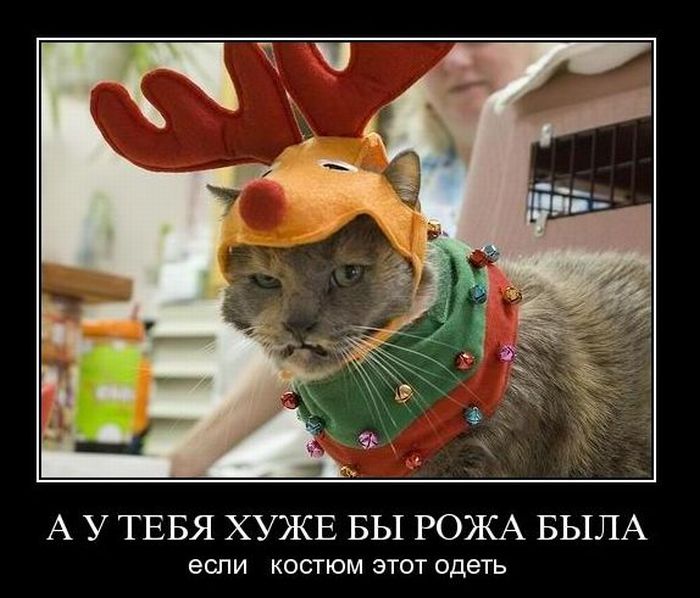 Демотиваторы приколы