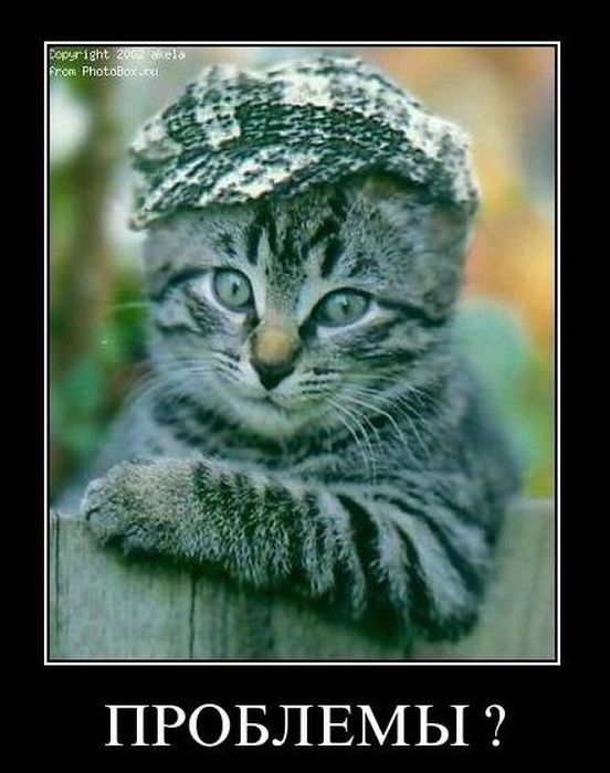 Демотиваторы приколы