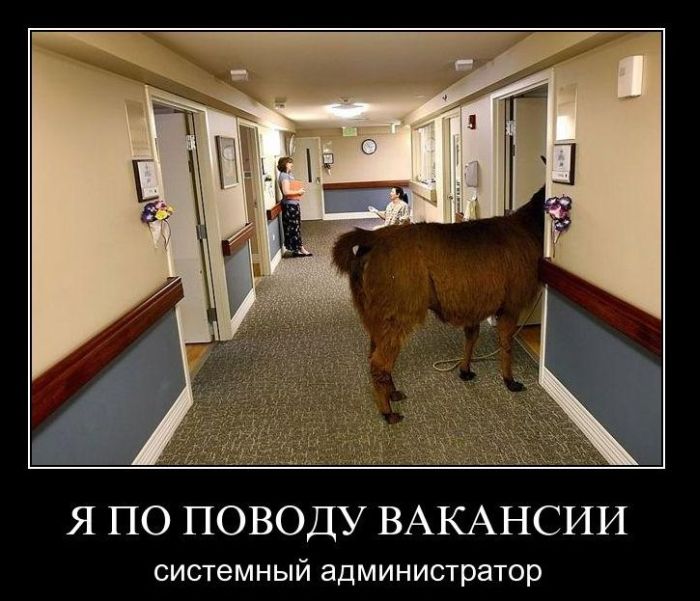 Демотиваторы приколы