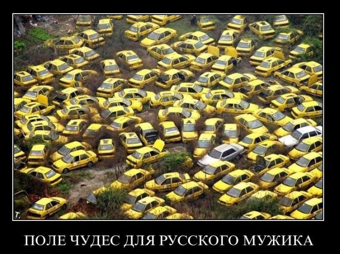 Демотиваторы приколы