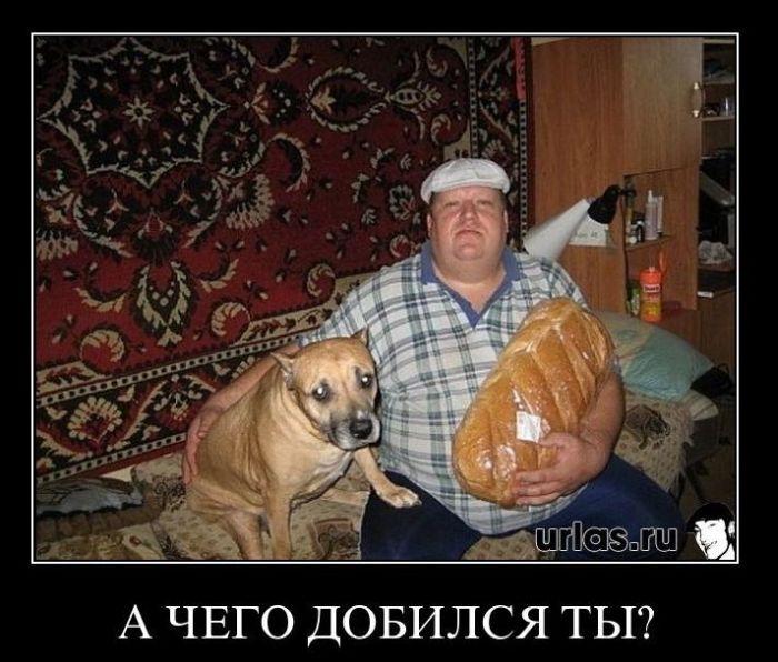 Демотиваторы приколы