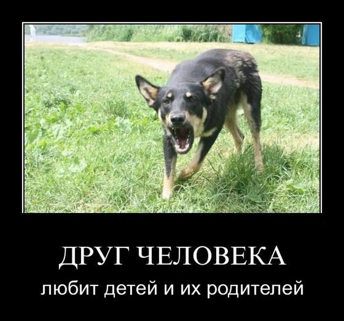Демотиваторы приколы