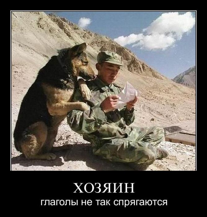 Демотиваторы приколы