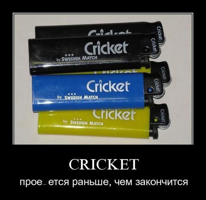 Демотиваторы приколы