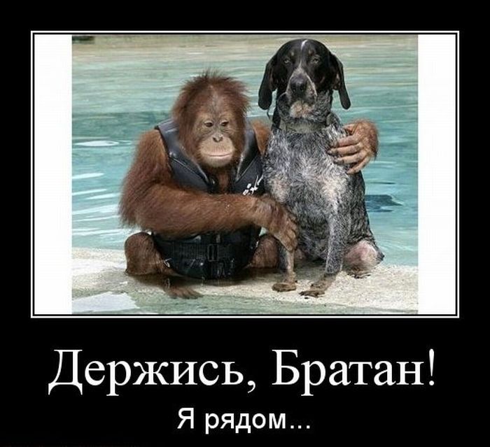 Демотиваторы приколы