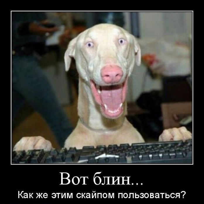 Демотиваторы приколы