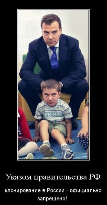 Демотиваторы приколы