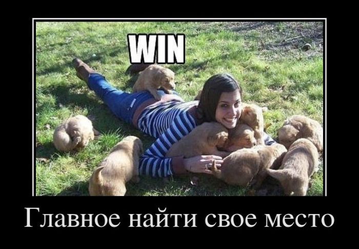 Демотиваторы приколы