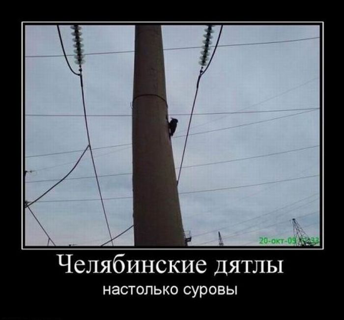 Демотиваторы приколы