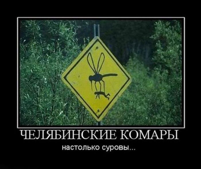 Демотиваторы приколы
