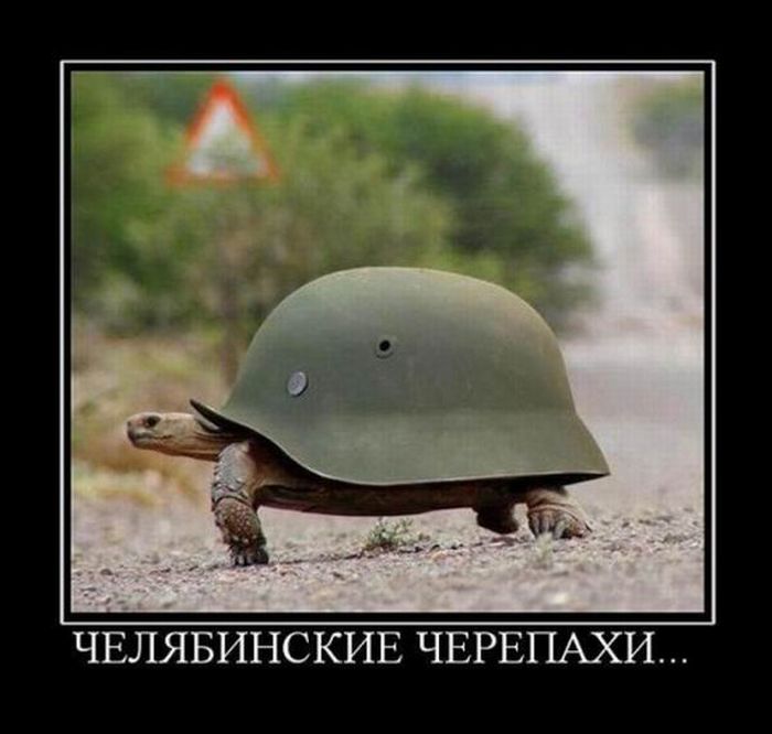 Демотиваторы приколы