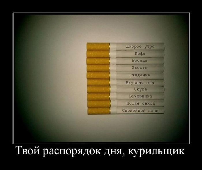 Демотиваторы приколы