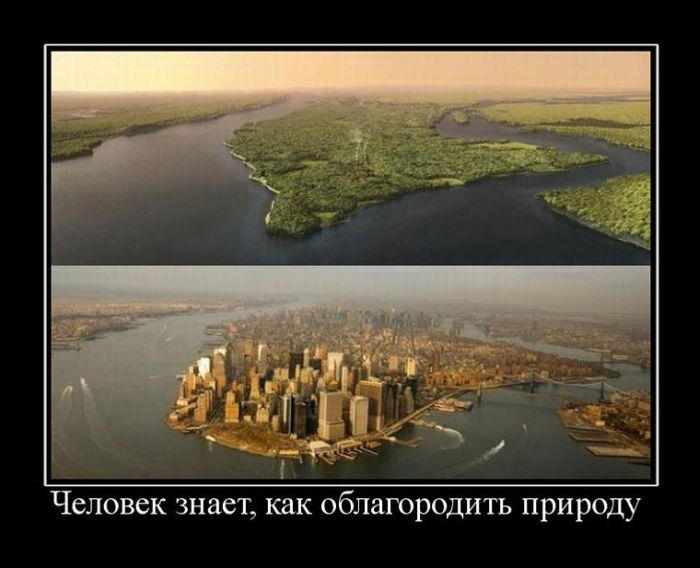 Демотиваторы приколы