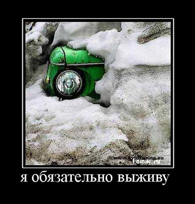 Демотиваторы приколы