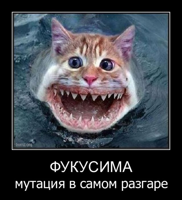 Демотиваторы приколы