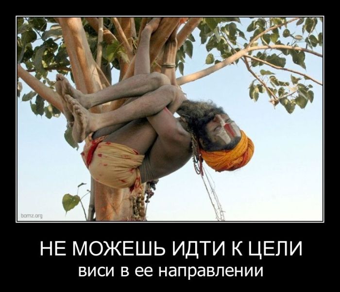 Демотиваторы приколы
