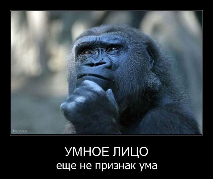 Демотиваторы приколы