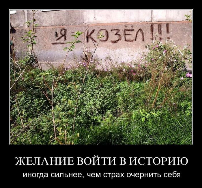 Демотиваторы приколы