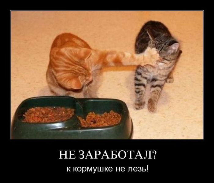 Демотиваторы приколы